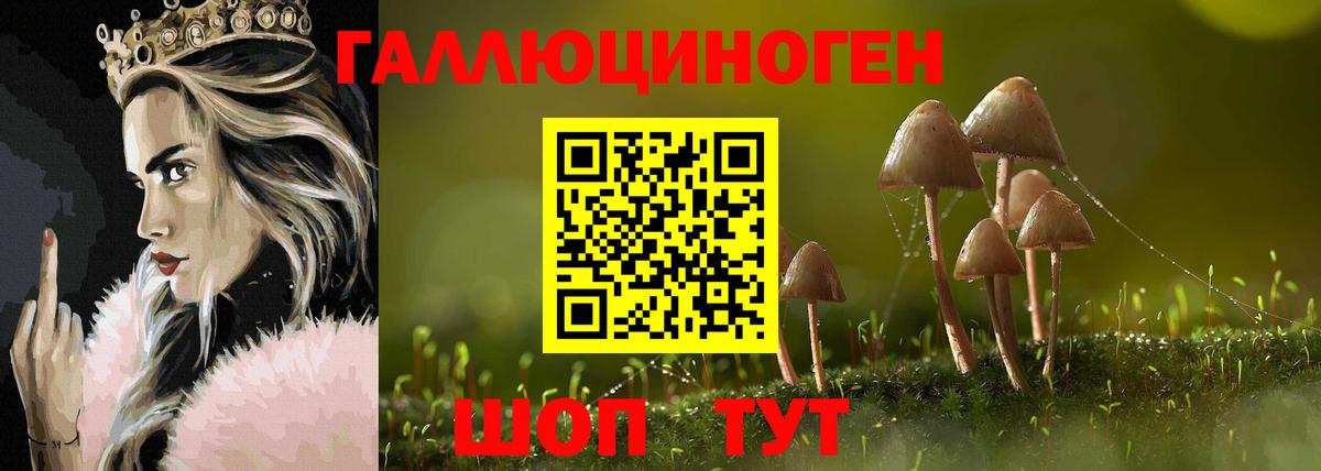 Ачхой-Мартан  Галлюциногенные грибы Magic Shrooms  Вход с VPN  Галлюциногенные грибы Magic Shrooms 